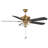 52" Cayman 5 - Blade Standard Ceiling Fan in Brown with Pull Chain and Light Kit Included-1829122833