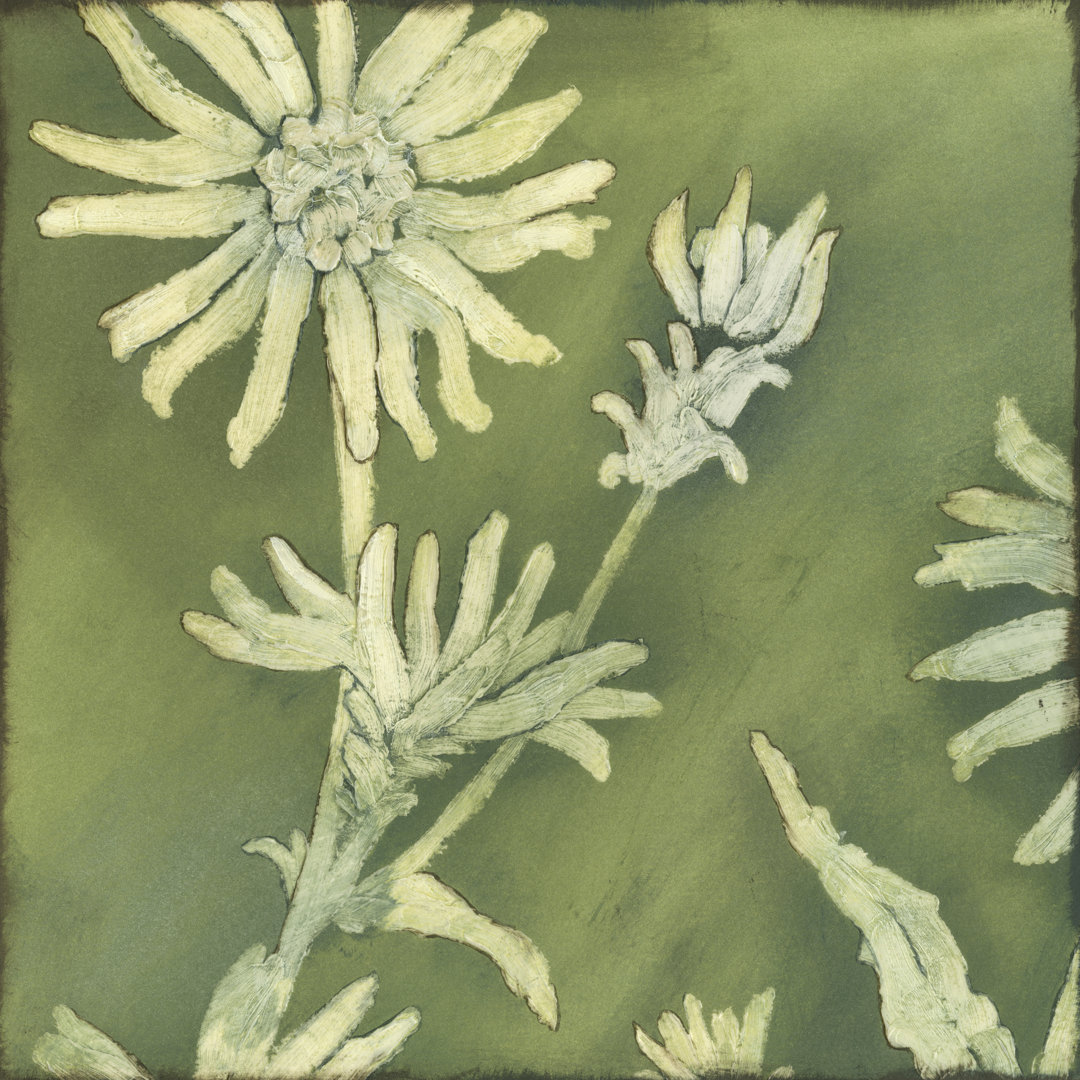 Leinwandbild Verdigris Blossoms I von Megan Meagher