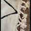 Photos des clients 1 de 1