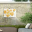 Rêve de coquelicot jaune bolognaise 5-98081964