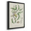 Antique Ammond Botanical IV, reproduction encadrée sur papier-88436195-88436192
