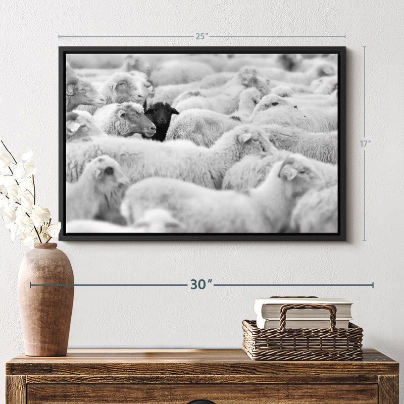 " Distinct Black Sheep ", 17" H x 25" W