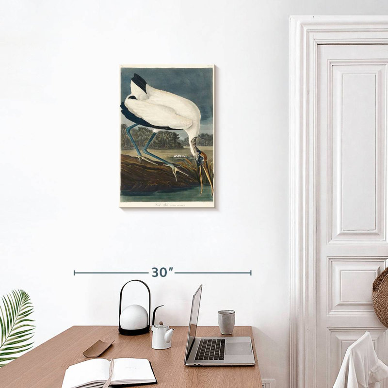 Brampt Wood Ibis, 24" H x 16" W