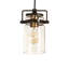 Babloo 1 - Light Pendant