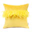 Housse de coussin en plumes-1263361731-1263361750-1228598420