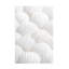 Coquillages 3 sur toile-1795432557