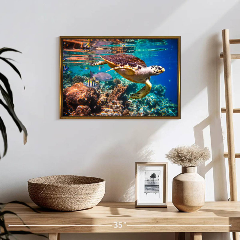 Vie marine vive, 19 po x 13 po, Cadre flottant doré