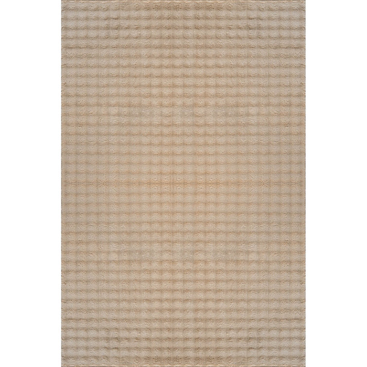 Soft Non-Slip Indoor Area Rug
