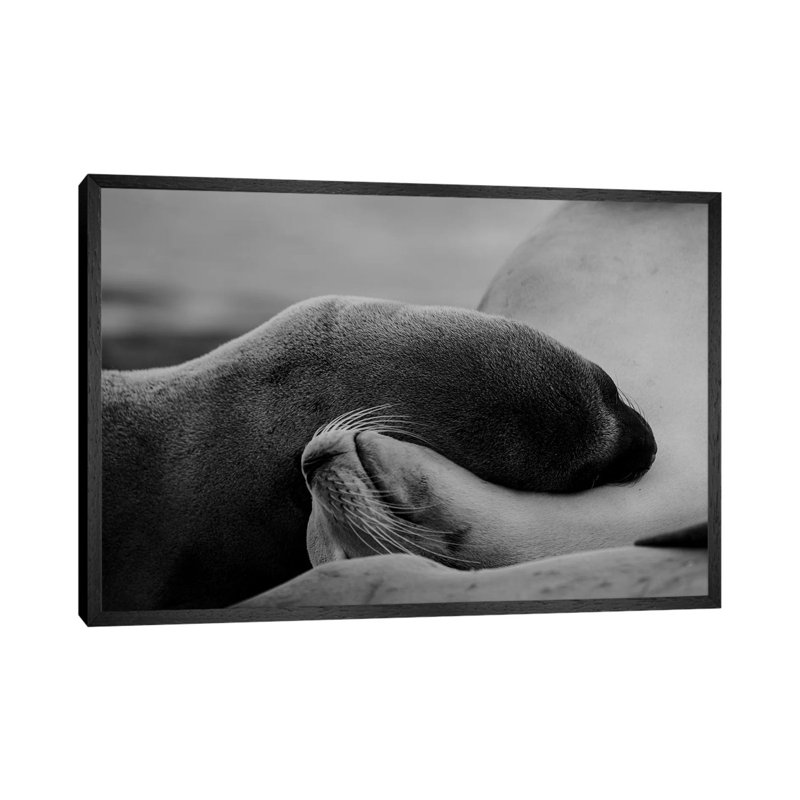 Sleeping Beauty by KrysTom - Print on Canvas, 45.72cm H x 66.04cm W x 3.81cm D, Black Framed