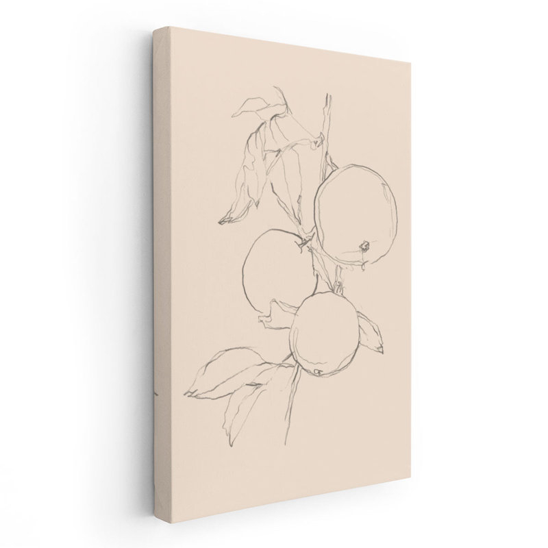 «Fruit Contour Study I», reproduction d'art sur toile, H 30 po x l 20 po