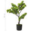 60cm Faux Pine Plant in Pot