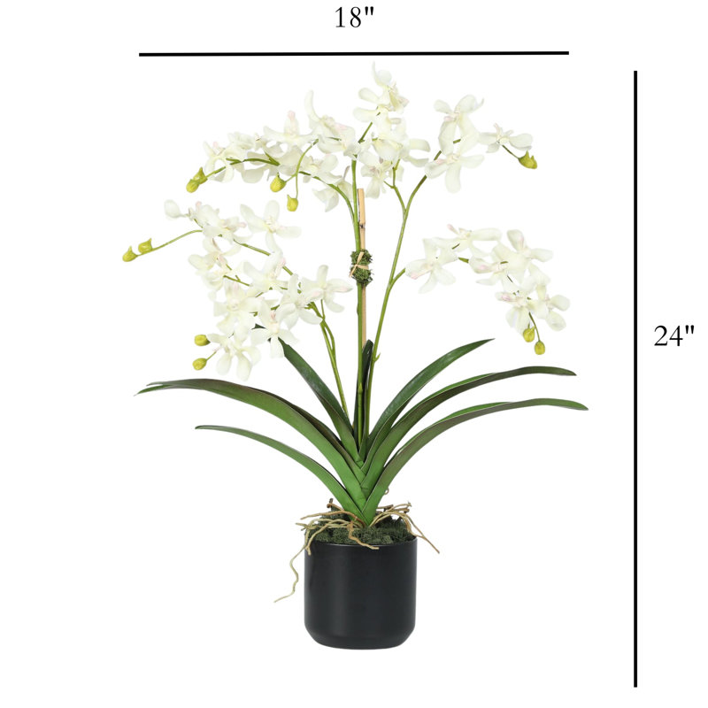 Arrangement d'orchidées en pot Polysilk, Blanc, Noir