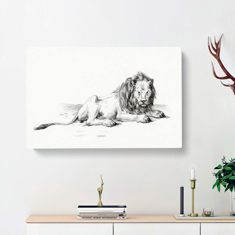 Sketch Of A Lion by Jean Bernard - Wrapped Canvas Print, 50cm H x 76cm W x 3cm D