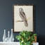 Toile encadrée de qualité supérieure Canada Owl - prête à être accrochée-598386080-598386095