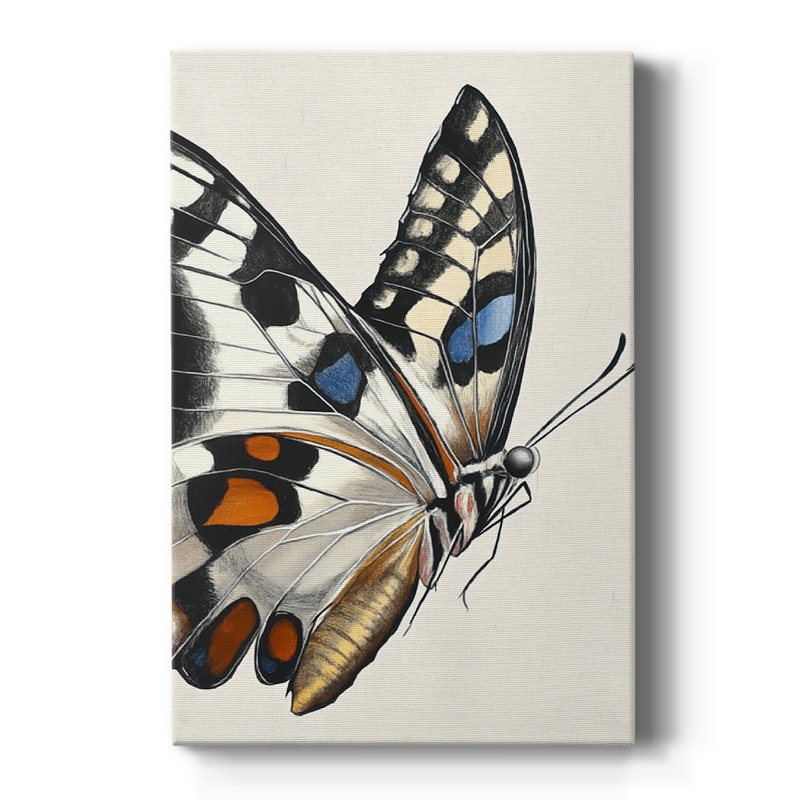 ANIMALS Series CECLI - Gallery Cavas, H 60 po x l 40 po