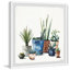 Reproduction d’art sur toile tendue « succulents galore »-50107136