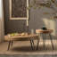 Table d'appoint Tree-1267141707