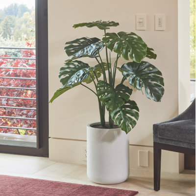 ARBRE MONSTERA POT 4 pi