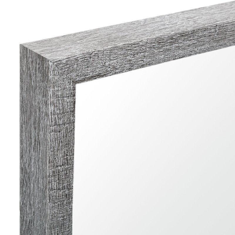 Miroir de salle de bain Aariah, H 41,5 po x l 21,5 po, Gris