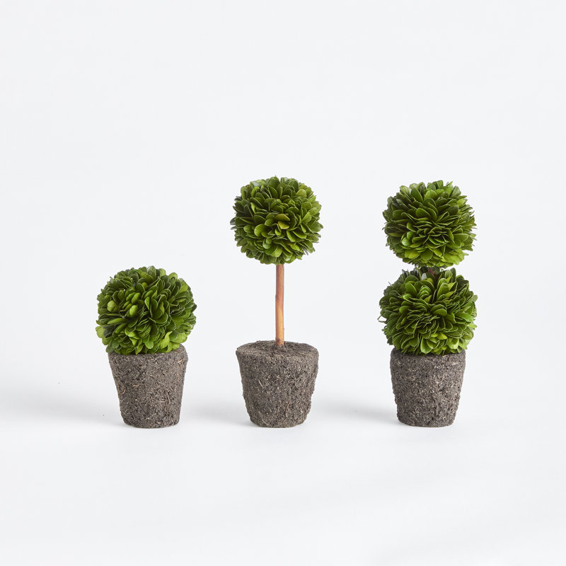 Boxwood Mini Topiary Drop-Ins