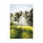 Wrapped Canvas selected