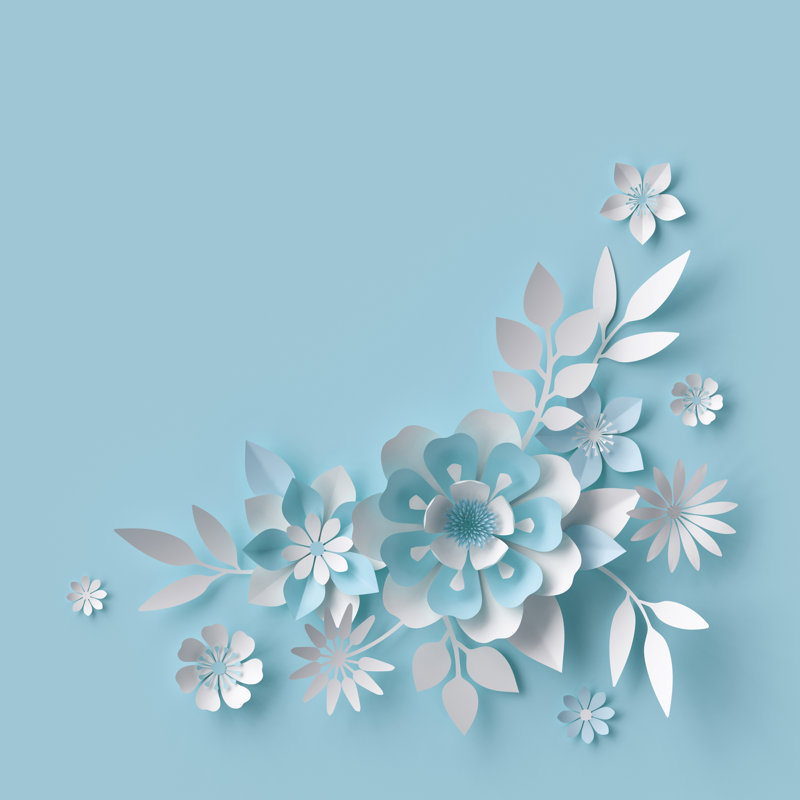 White Paper Flowers by Wacomka - Wrapped Canvas Print, 30cm H x 30cm W x 3.8cm D
