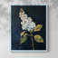 Série FLORAL CLxxvII - reproduction encadrée de qualité supérieure - prête à être accrochée - aucun clou requis-1084000289-1084000349
