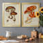 Champignon Variétés VI, reproduction encadrée de qualité supérieure, prête à être accrochée-765081726-765081727
