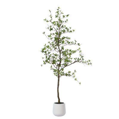 Adcock Artificial Black Olive Tree in White Pot, Tall Faux Shady Lady Tree for Indoor Home Decor