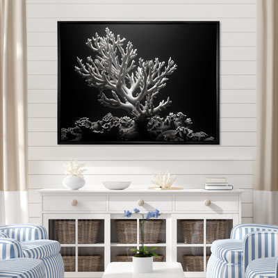 " Black And White Anemoner Color Photo II "