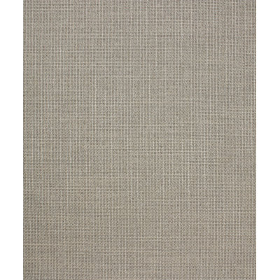 High Speed Fabric