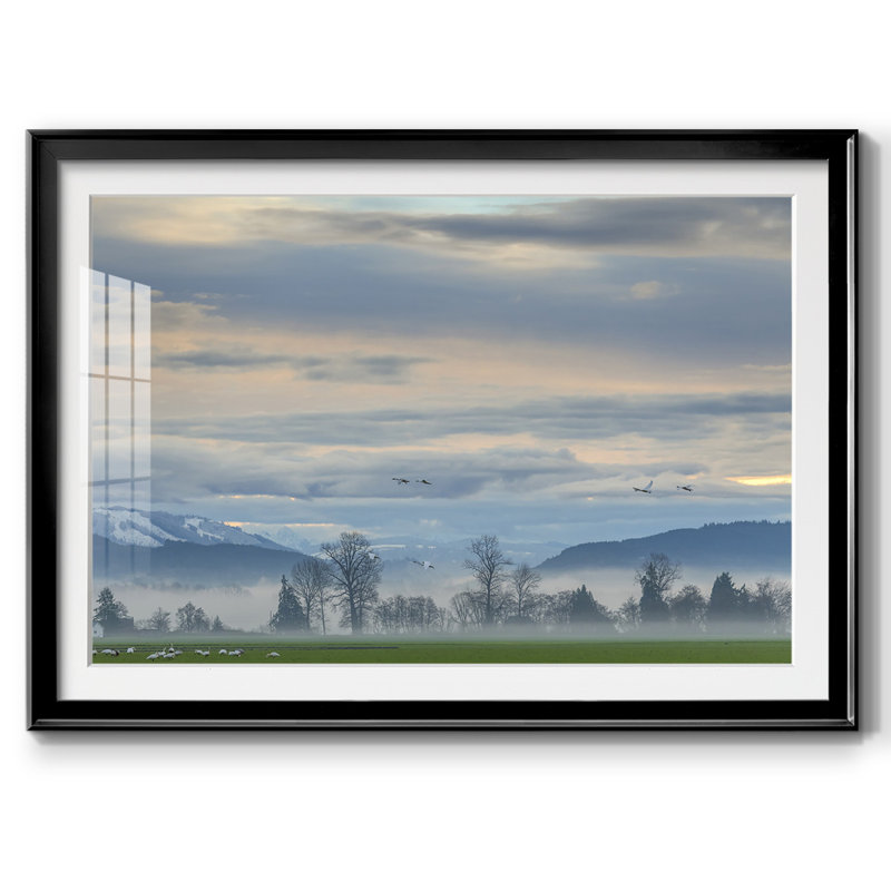 Misty Horizon, reproduction d'art encadrée, Noir, H 15 po x l 21 po x P 1,5 po