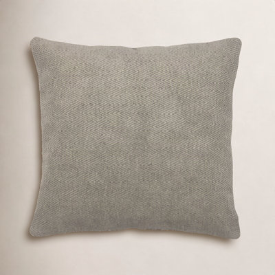 Indoor/Outdoor Throw Pillow