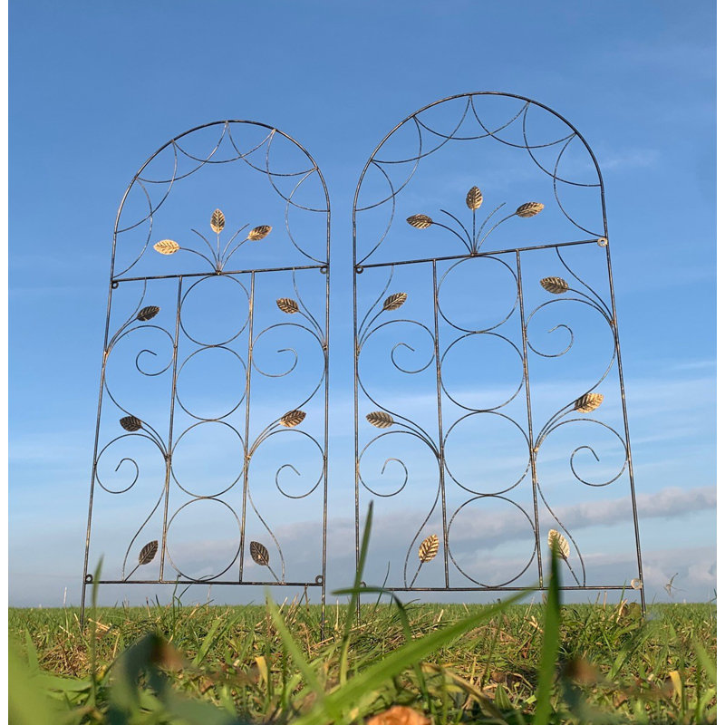 Lifthrasir 120cm H x 50cm W Metal Arched Trellis