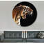 Tiger Print-24074488