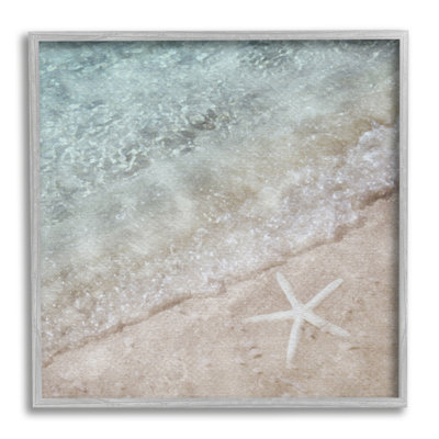 " Starfish On Beach Coast "