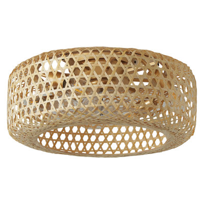 Ventilateur de plafond en cage avec ensemble d'éclairage et télécommande Anlaug 20 po Boho