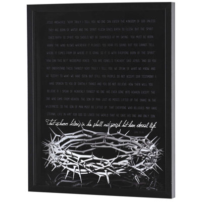 Framed Wall Art Crown Of Thorns John 3