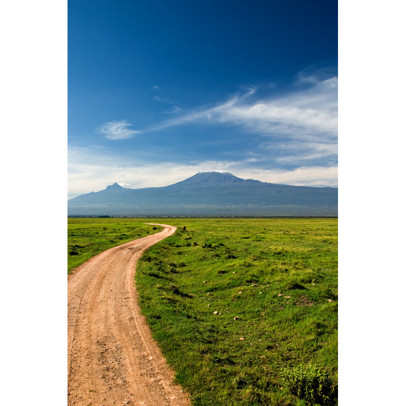 Road To Kilimanjaro - Wrapped Canvas Print, 46cm H x 30cm W x 3.8cm D
