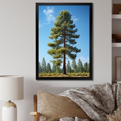 " Proud Pine Tree II "