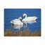 Drôle de scène amusante «Whooper Silly Whooper»-2085462309