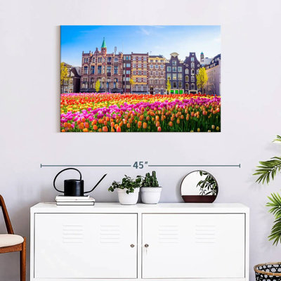 Nicci Amsterdam Tulips