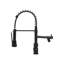 Belfry Kitchen Lippencott Pull Down Kitchen Faucet-63771436