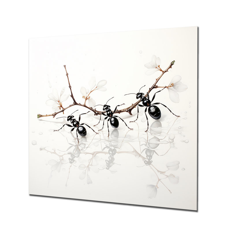 Art mural minimaliste, fourmis 1 - Insectes et insectes, H 36 po x l 36 po