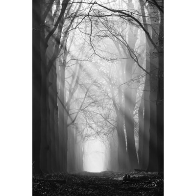 Sunray Path