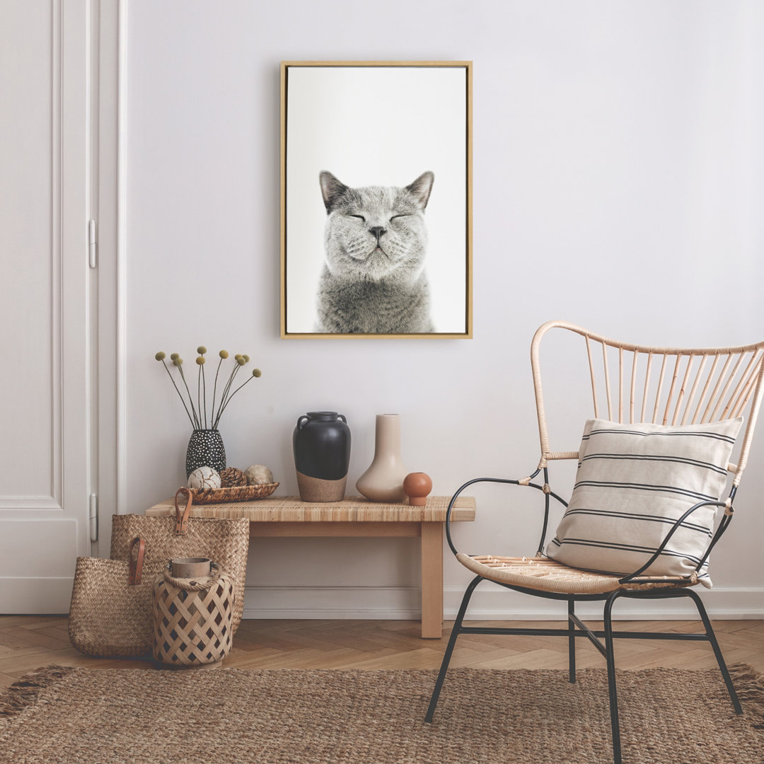 Smiling Cat by Amy Peterson Framed Canvas Wall Art Print Trinx