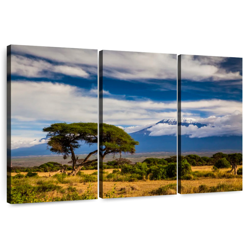 Alvord, paysage du mont Kilimandjaro, H 32 po x l 50 po