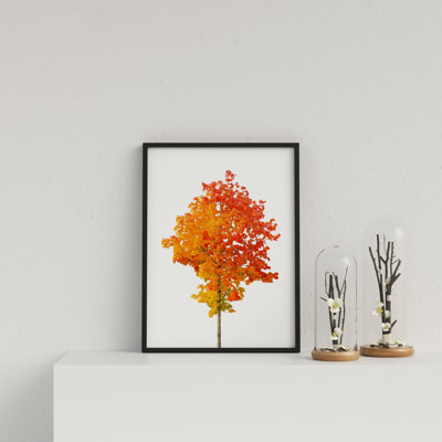 Vibrant Orange Tree On White Background by Vouvart - Single Picture Frame Print