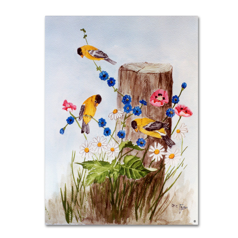 Dugazon «American Goldfinch 3», reproduction sur toile tendue, H 24 po x l 18 po