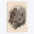 Toile tendue